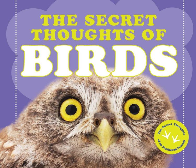 Produktbild: The Secret Thoughts of Birds