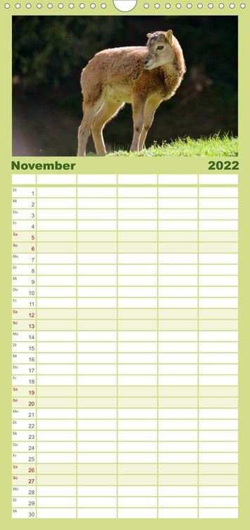 Produktbild: Familienplaner Die lieben Kleinen ... Tierkinder einfach zum Knuddeln (Wandkalender 2022 , 21 cm x 45 cm, hoch)