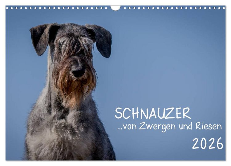 Produktbild: Schnauzer... von Zwergen und Riesen 2026 (Wandkalender 2026 DIN A3 quer), CALVENDO Monatskalender