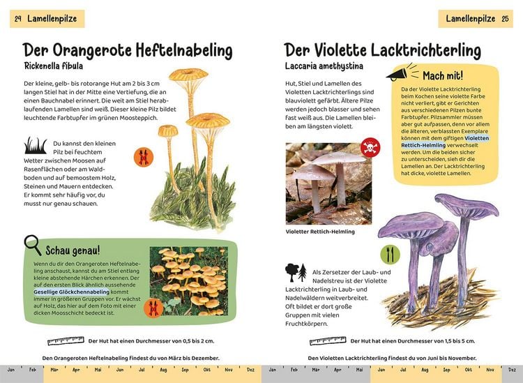Produktbild: Welcher Pilz ist das? Kindernaturf&uuml;hrer