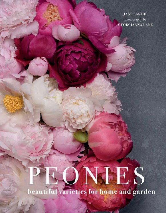 Produktbild: Peonies