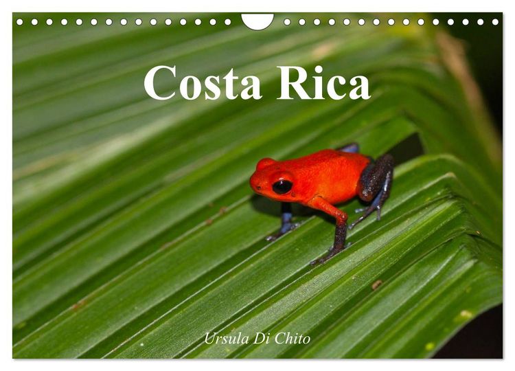 Produktbild: Costa Rica (Wandkalender 2026 DIN A4 quer), CALVENDO Monatskalender