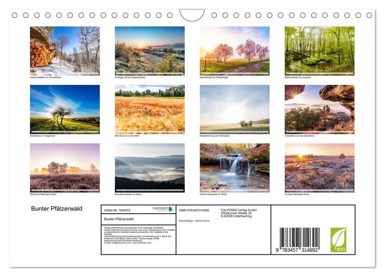 Produktbild: Bunter Pf&auml;lzerwald (Wandkalender 2026 DIN A4 quer), CALVENDO Monatskalender