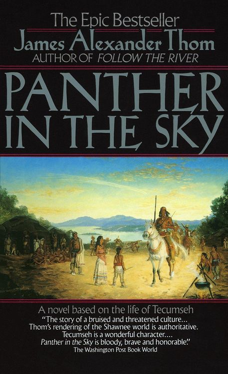 Produktbild: Panther in the Sky