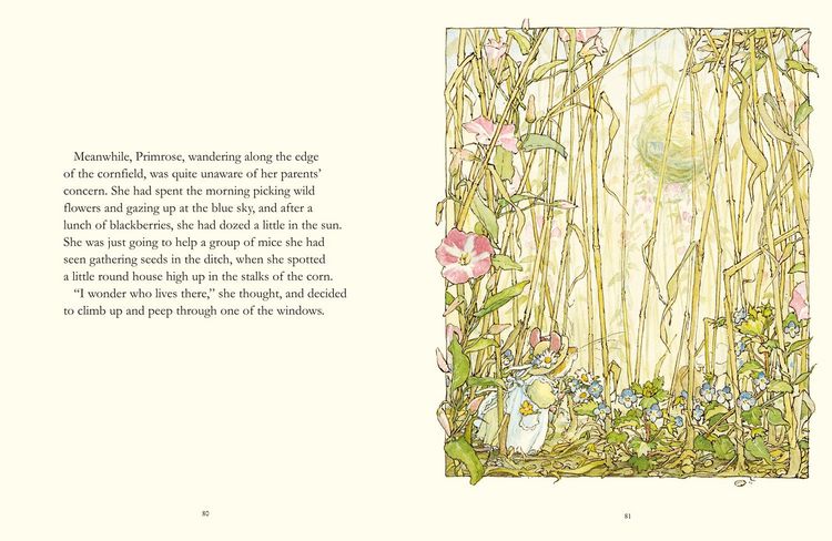 Produktbild: The Complete Brambly Hedge
