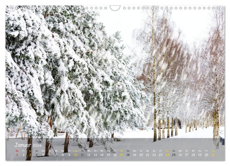 Produktbild: Zauberhaftes Norderstedt (Wandkalender 2026 DIN A3 quer), CALVENDO Monatskalender