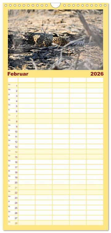 Produktbild: Familienplaner 2026 - Kgalagadi - Fauna und Wildtiere in der Kalahari mit 5 Spalten (Wandkalender, 21 x 45 cm) CALVENDO