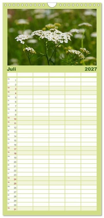 Produktbild: Familienplaner 2027 - Arzneipflanzen mit 5 Spalten (Wandkalender, 21 x 45 cm) CALVENDO