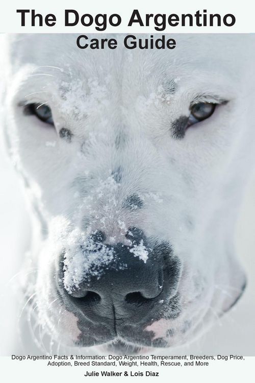 Produktbild: The Dogo Argentino Care Guide. Dogo Argentino Facts & Information