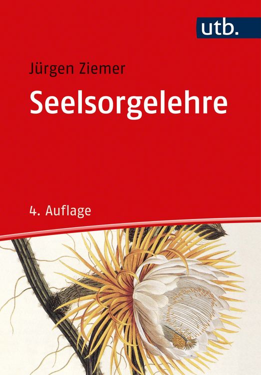 Produktbild: Seelsorgelehre