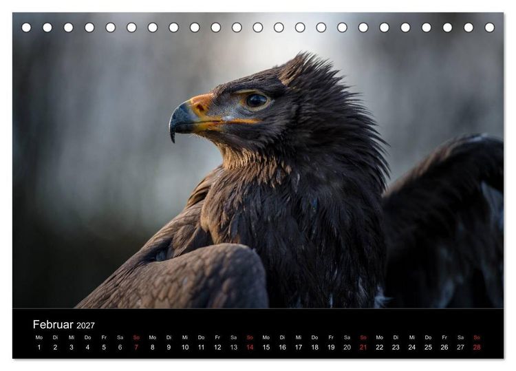 Produktbild: Sch&ouml;nheiten der L&uuml;fte - Greifv&ouml;gel (Tischkalender 2027 DIN A5 quer), CALVENDO Monatskalender