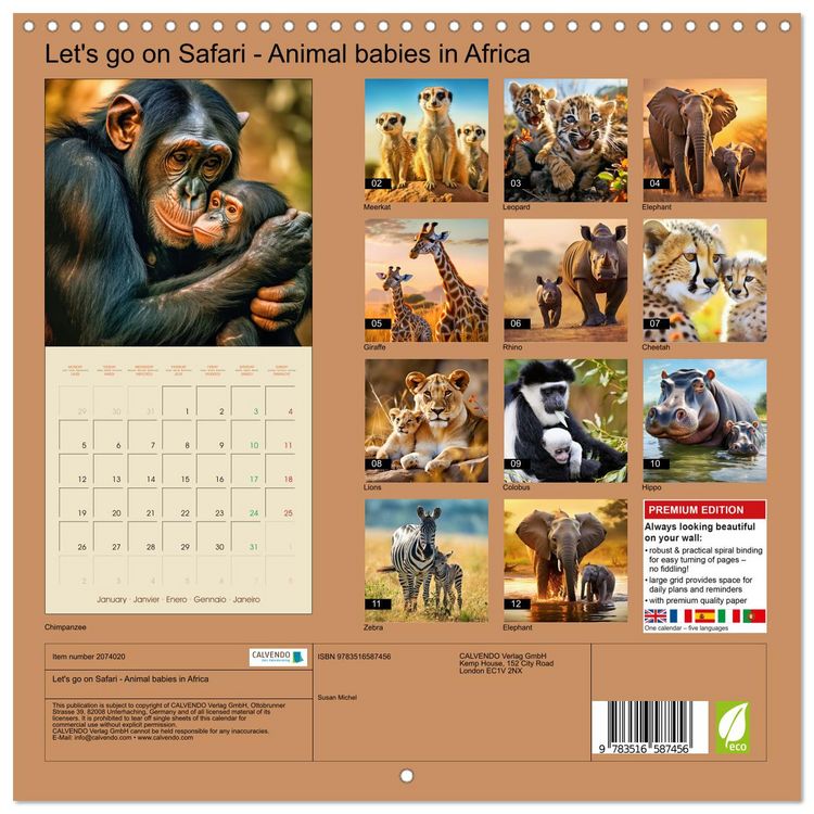 Produktbild: Let's go on Safari - Animal babies in Africa (Wall Calendar 2026 12 &times; 12 Inch) CALVENDO 12 Month Wall Calendar
