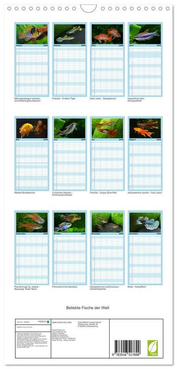 Produktbild: Familienplaner 2026 - Beliebte Fische der Welt mit 5 Spalten (Wandkalender, 21 x 45 cm) CALVENDO