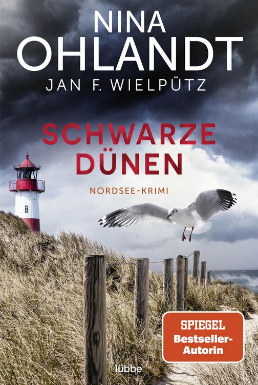 Bild vom Artikel Schwarze Dünen vom Autor Nina Ohlandt