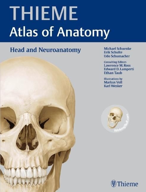 Produktbild: Head and Neuroanatomy