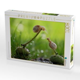 Produktbild: CALVENDO Puzzle Ein Motiv aus dem Kalender at Schneckentempo durch das Jahr | 1000 Teile Lege-Gr&ouml;&szlig;e 64x48cm Foto-Puzzle f&uuml;r gl&uuml;ckliche Stunden
