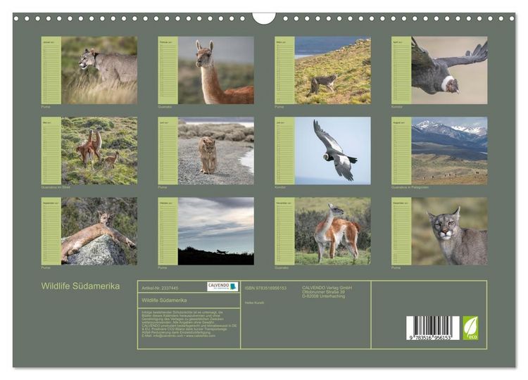 Produktbild: Wildlife S&uuml;damerika (Wandkalender 2027 DIN A3 quer), CALVENDO Monatskalender