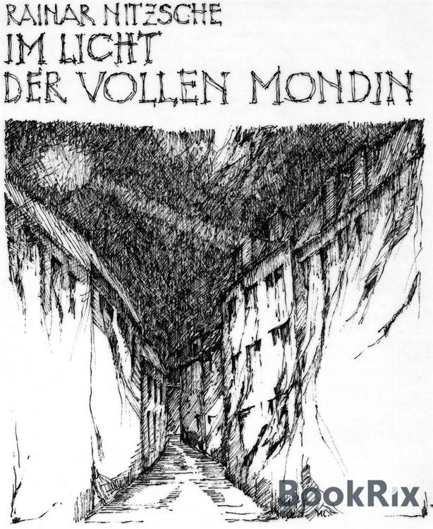 Produktbild: Im Licht der Vollen Mondin
