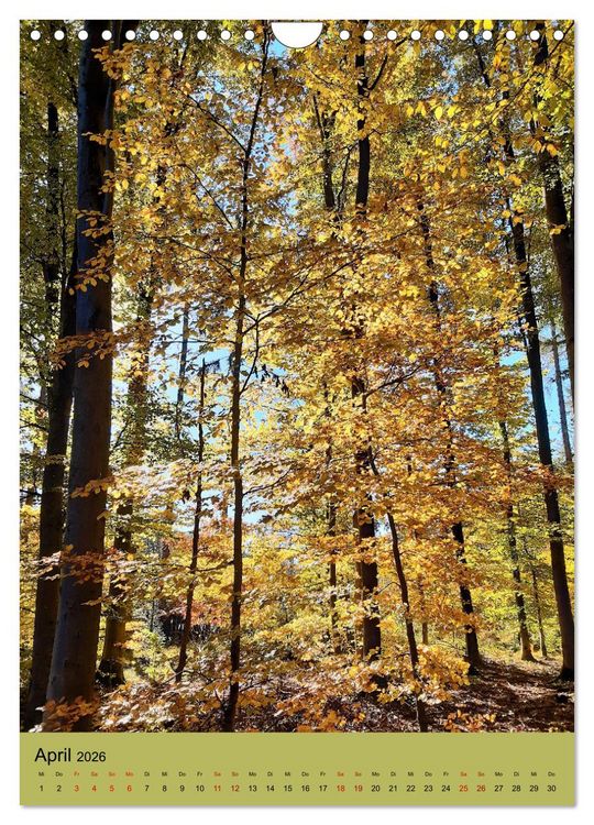 Produktbild: Momente des Herbstes (Wandkalender 2026 DIN A4 hoch), CALVENDO Monatskalender