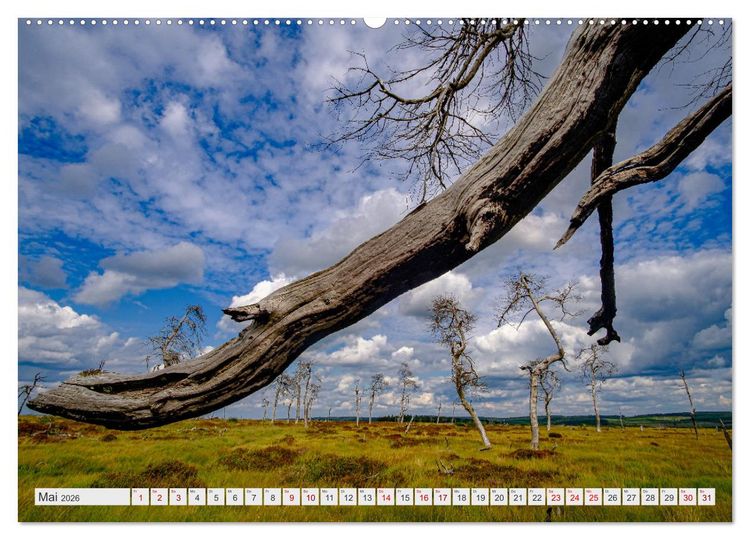 Produktbild: Traumlandschaft Hohes Venn (hochwertiger Premium Wandkalender 2026 DIN A2 quer), Kunstdruck in Hochglanz
