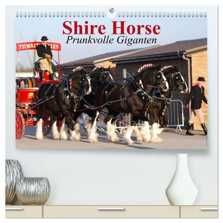 Produktbild: Shire Horse &bull; Prunkvolle Giganten (hochwertiger Premium Wandkalender 2026 DIN A2 quer), Kunstdruck in Hochglanz