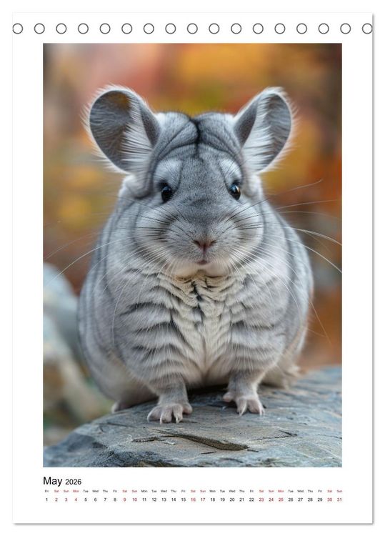 Produktbild: Chinchilla Parade (Desk Calendar 2026 DIN A5 portrait), CALVENDO 12 Month DeskCalendar