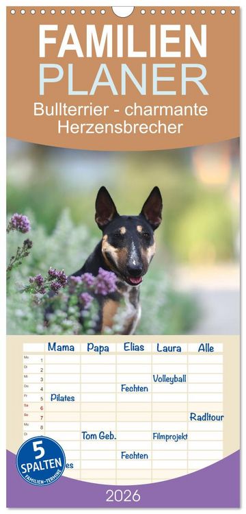 Produktbild: Familienplaner 2026 - Bullterrier - charmante Herzensbrecher mit 5 Spalten (Wandkalender, 21 x 45 cm) CALVENDO