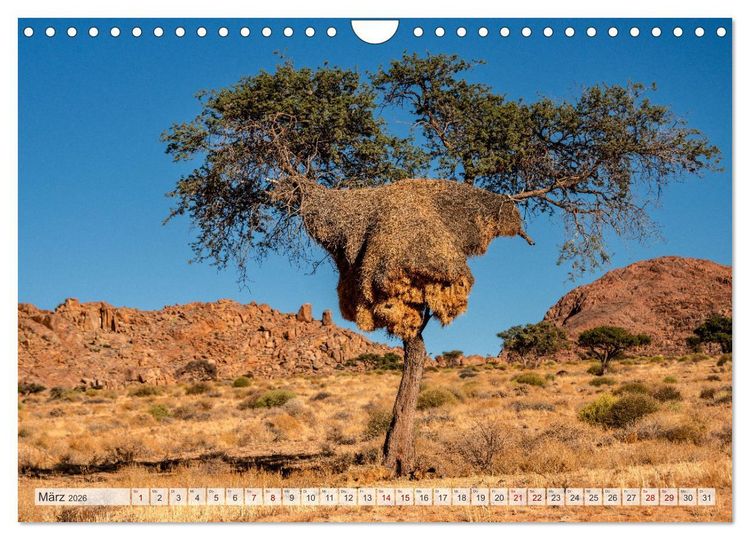 Produktbild: Abenteuerliches Namibia (Wandkalender 2026 DIN A4 quer), CALVENDO Monatskalender