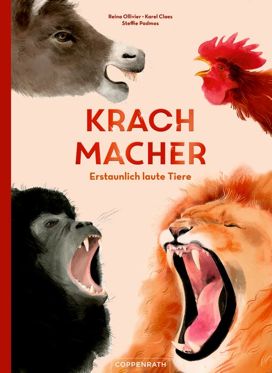 Produktbild: Krachmacher