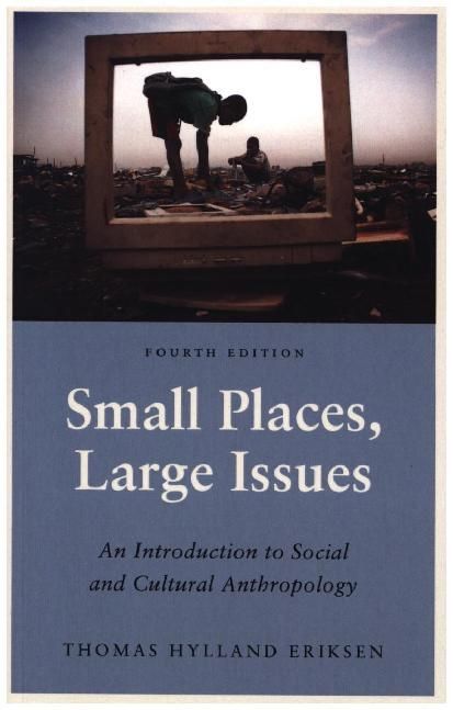 Produktbild: Eriksen, T: Small Places, Large Issues