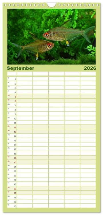 Produktbild: Familienplaner 2026 - Beliebte Fische der Welt mit 5 Spalten (Wandkalender, 21 x 45 cm) CALVENDO