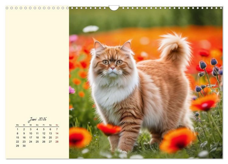 Produktbild: Samtpfoten im Bl&uuml;tenmeer (Wandkalender 2026 DIN A3 quer), CALVENDO Monatskalender