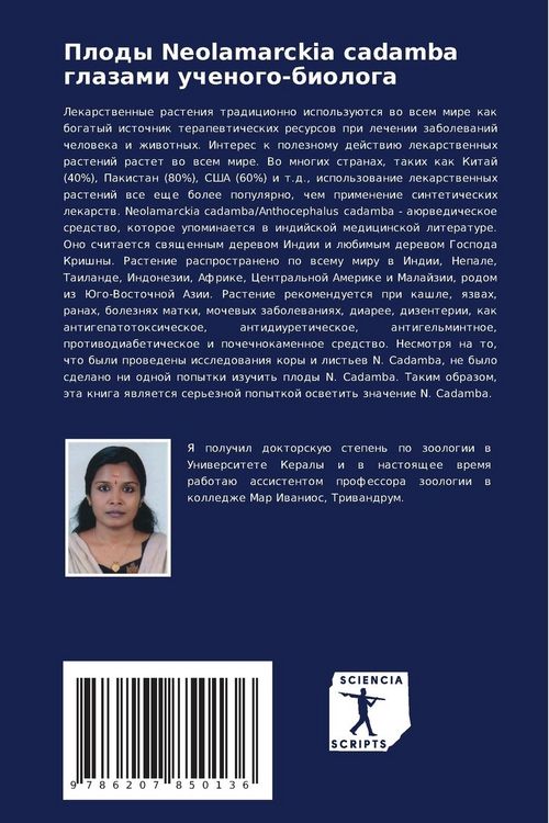 Produktbild: Plody Neolamarckia cadamba glazami uchenogo-biologa