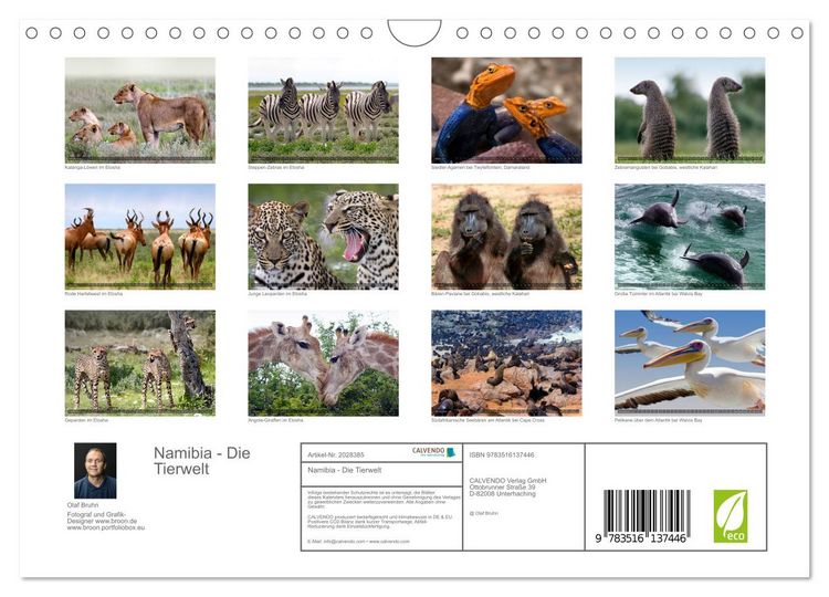 Produktbild: Namibia - Die Tierwelt (Wandkalender 2026 DIN A4 quer), CALVENDO Monatskalender