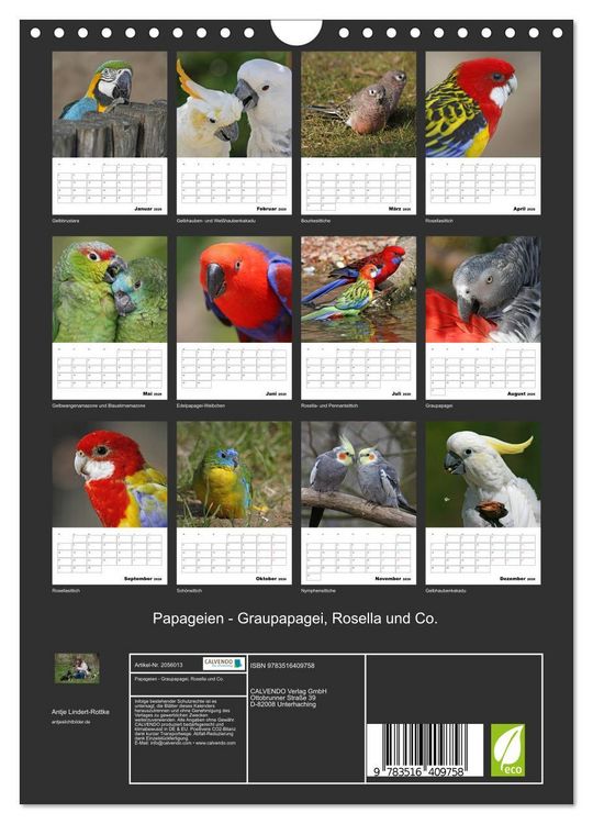 Produktbild: Papageien - Graupapagei, Rosella und Co. (Wandkalender 2026 DIN A4 hoch), CALVENDO Monatskalender