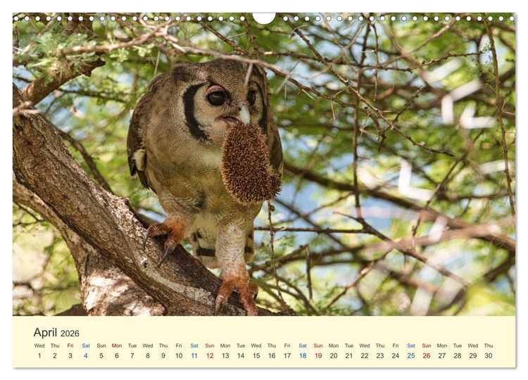 Produktbild: Wonderful Kenya (Wall Calendar 2026 DIN A3 landscape), CALVENDO 12 Month Wall Calendar
