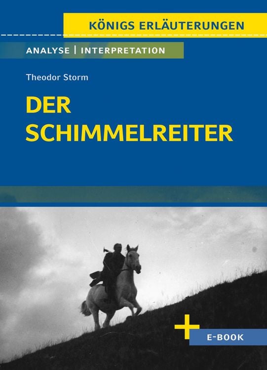 Bild vom Artikel Der Schimmelreiter von Theodor Storm - Textanalyse und Interpretation vom Autor Theodor Storm