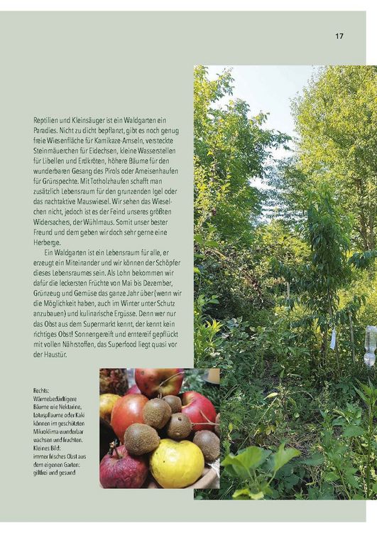 Produktbild: Dein Weg zum essbaren Waldgarten