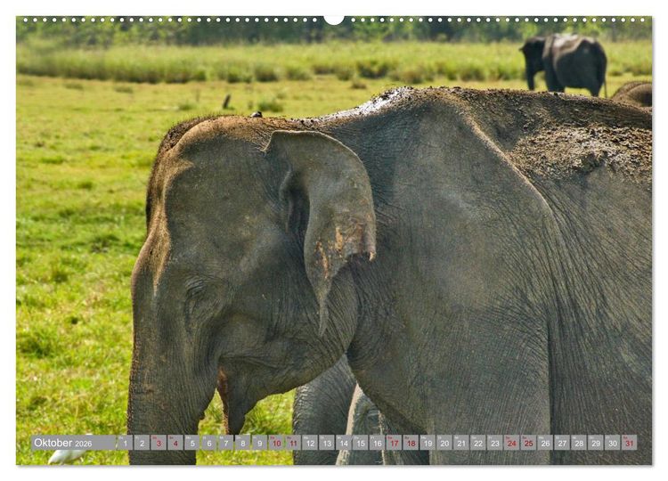 Produktbild: Sri Lanka, Gr&uuml;ne Berge - unber&uuml;hrte Natur (hochwertiger Premium Wandkalender 2026 DIN A2 quer), Kunstdruck in Hochglanz