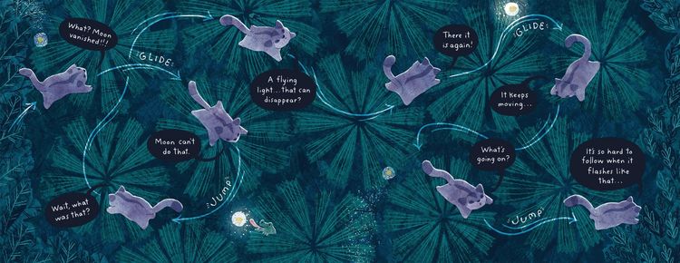 Produktbild: Sugar Glider Lights a Way