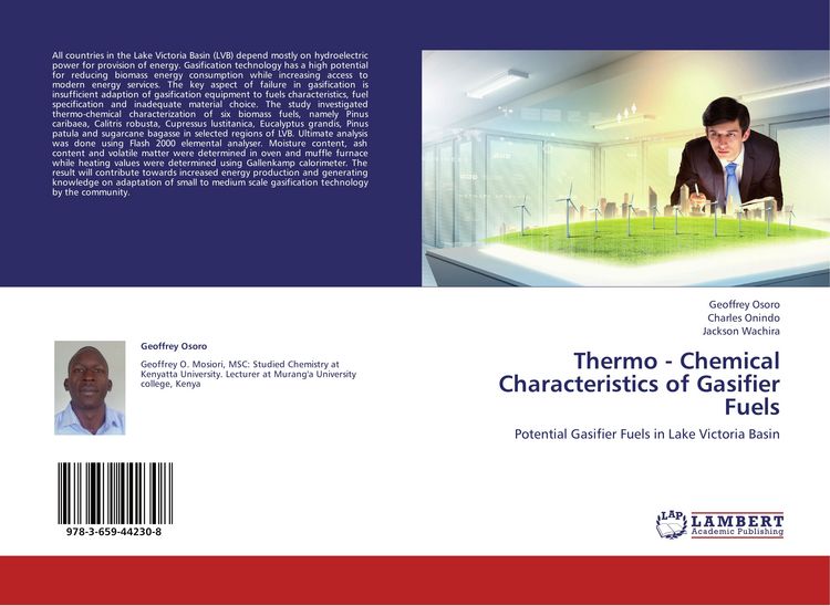 Produktbild: Thermo - Chemical Characteristics of Gasifier Fuels