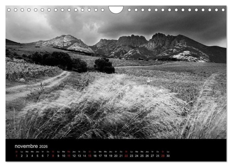 Produktbild: VIGNES DU SUD terroirs d'AOC (Calendrier mural 2026 DIN A4 vertical), CALVENDO calendrier mensuel