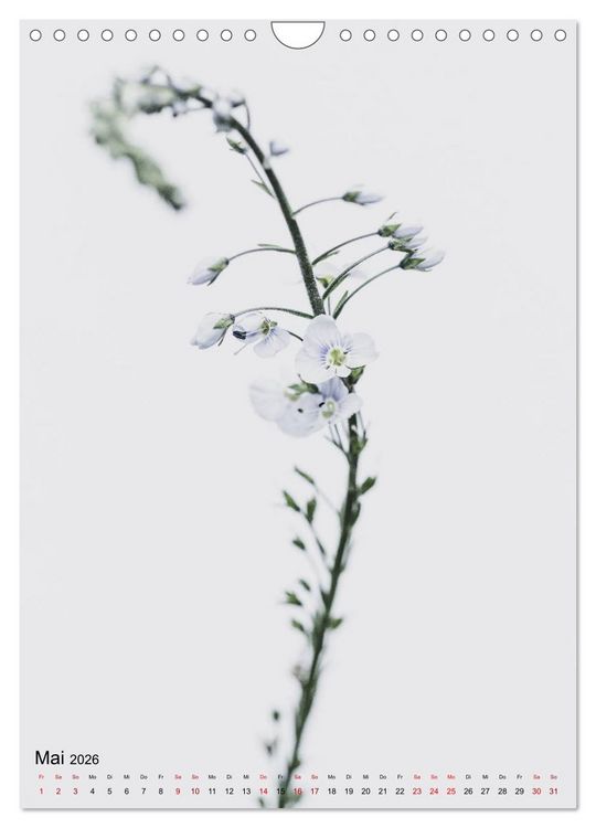Produktbild: Pure Flowers (Wandkalender 2026 DIN A4 hoch), CALVENDO Monatskalender