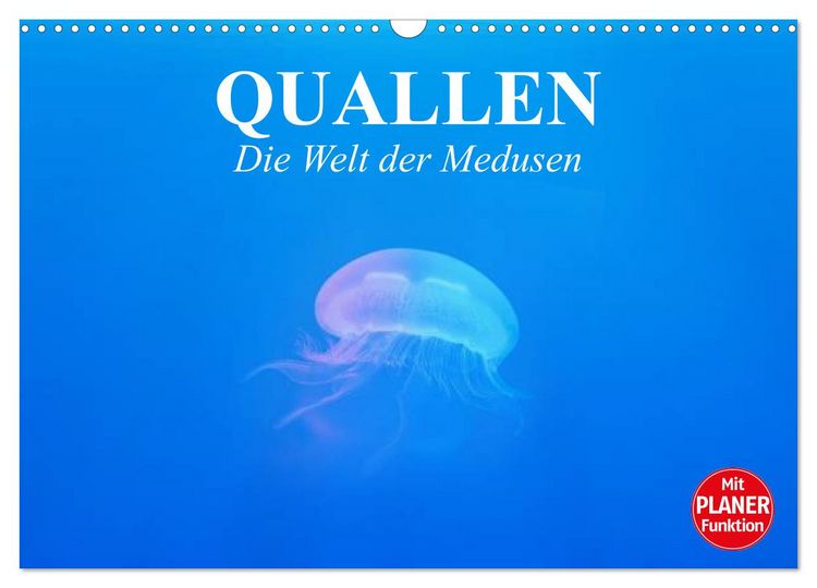 Produktbild: Quallen. Die Welt der Medusen (Wandkalender 2026 DIN A3 quer), CALVENDO Monatskalender