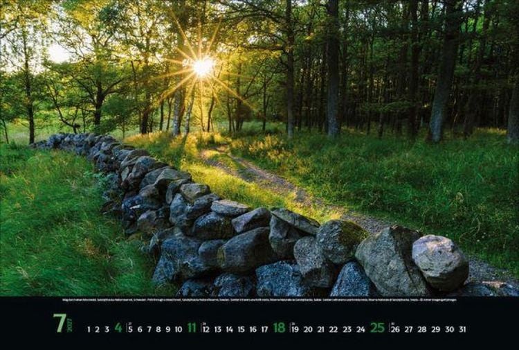 Produktbild: Magische W&auml;lder 2027