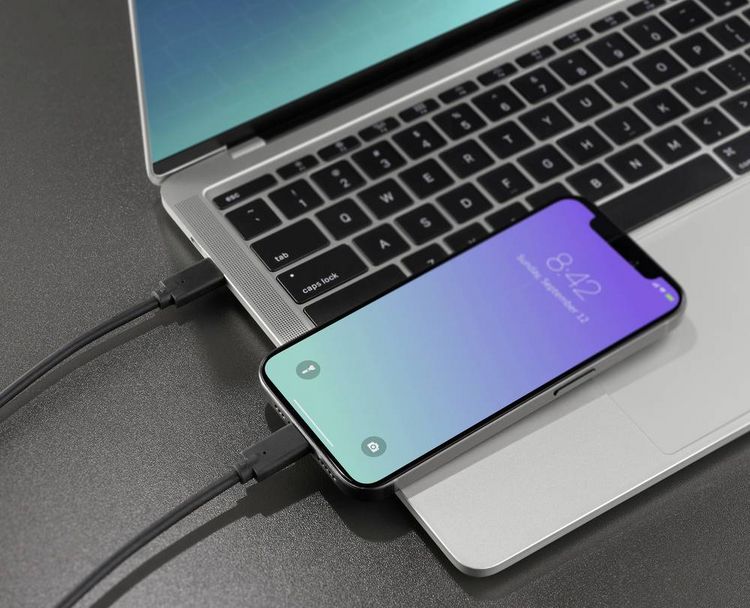 Produktbild: Renkforce USB-C&reg; Kabel USB 3.2 Gen2x2 USB-C&reg; Stecker, USB-C&reg; Stecker 0.50 m Schwarz TPE-Mantel RF-5501100