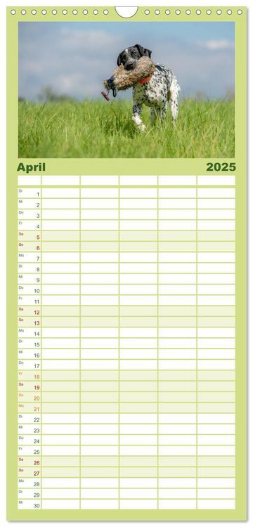 Familienplaner 2025 - Jagdhunde bei der Arbeit mit 5 Spalten (Wandkalender, 21 x 45 cm) CALVENDO