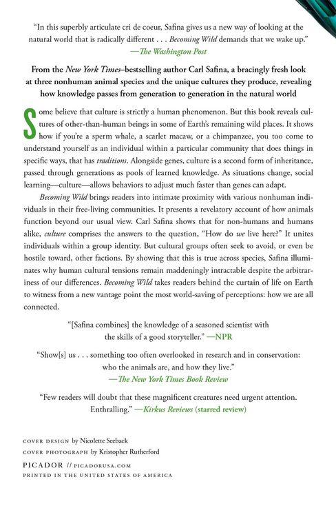 Produktbild: Becoming Wild