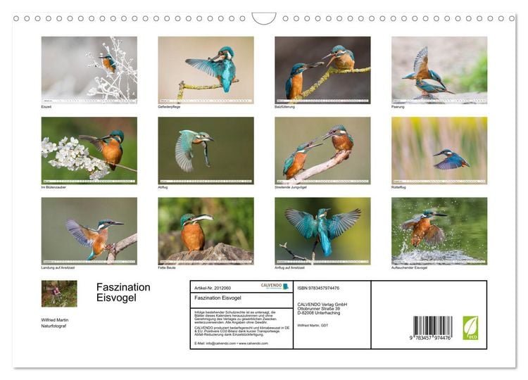 Produktbild: Faszination Eisvogel (Wandkalender 2026 DIN A3 quer), CALVENDO Monatskalender