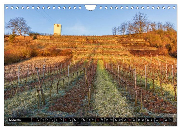 Produktbild: Weinlagen in Franken (Wandkalender 2026 DIN A4 quer), CALVENDO Monatskalender